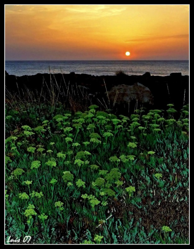 Atardecer en verde