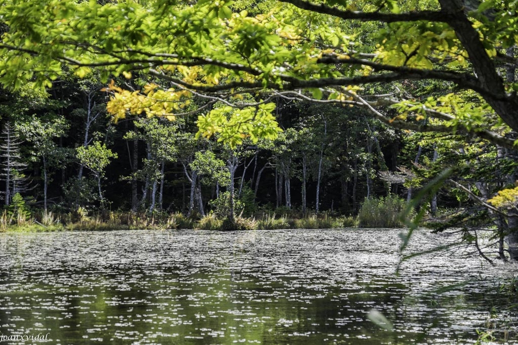 GOKO LAKES