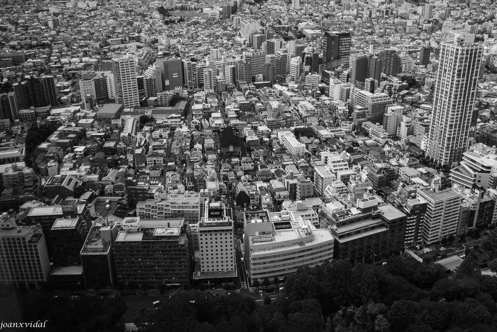 MEGALOPOLIS DE TOKYO