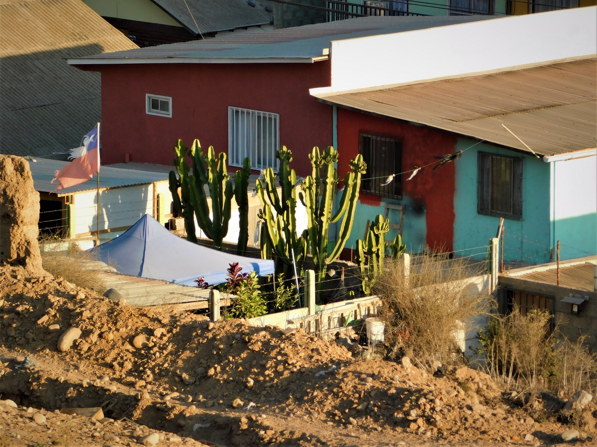 Uno de los patios traseros del vecindario