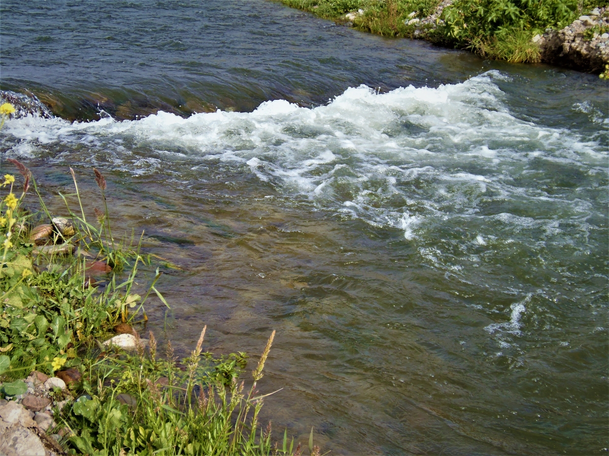 Una pequea y diminuta cascada jajajaja