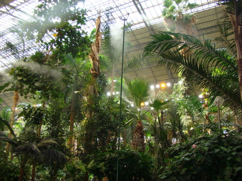 La selva en Madrid