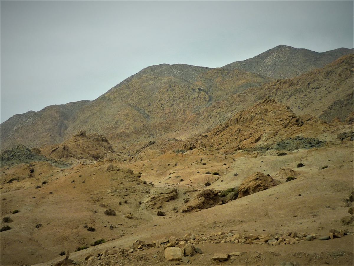 Vamos avanzando para llegar a la loma del cerro