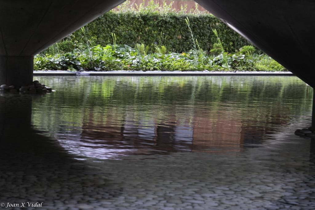 REFLEJO EN EL ESTANQUE