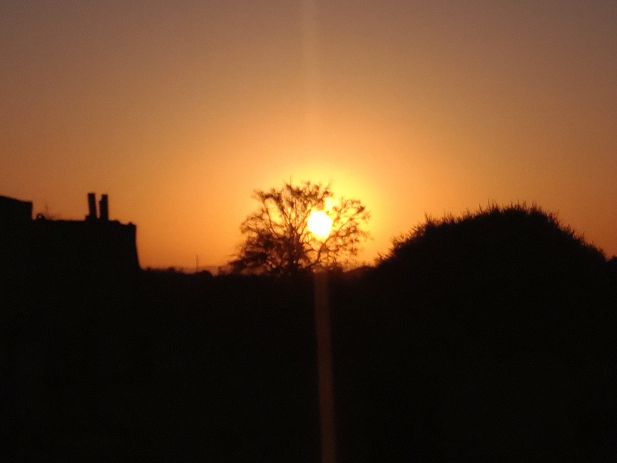 Atardecer desde la parcela