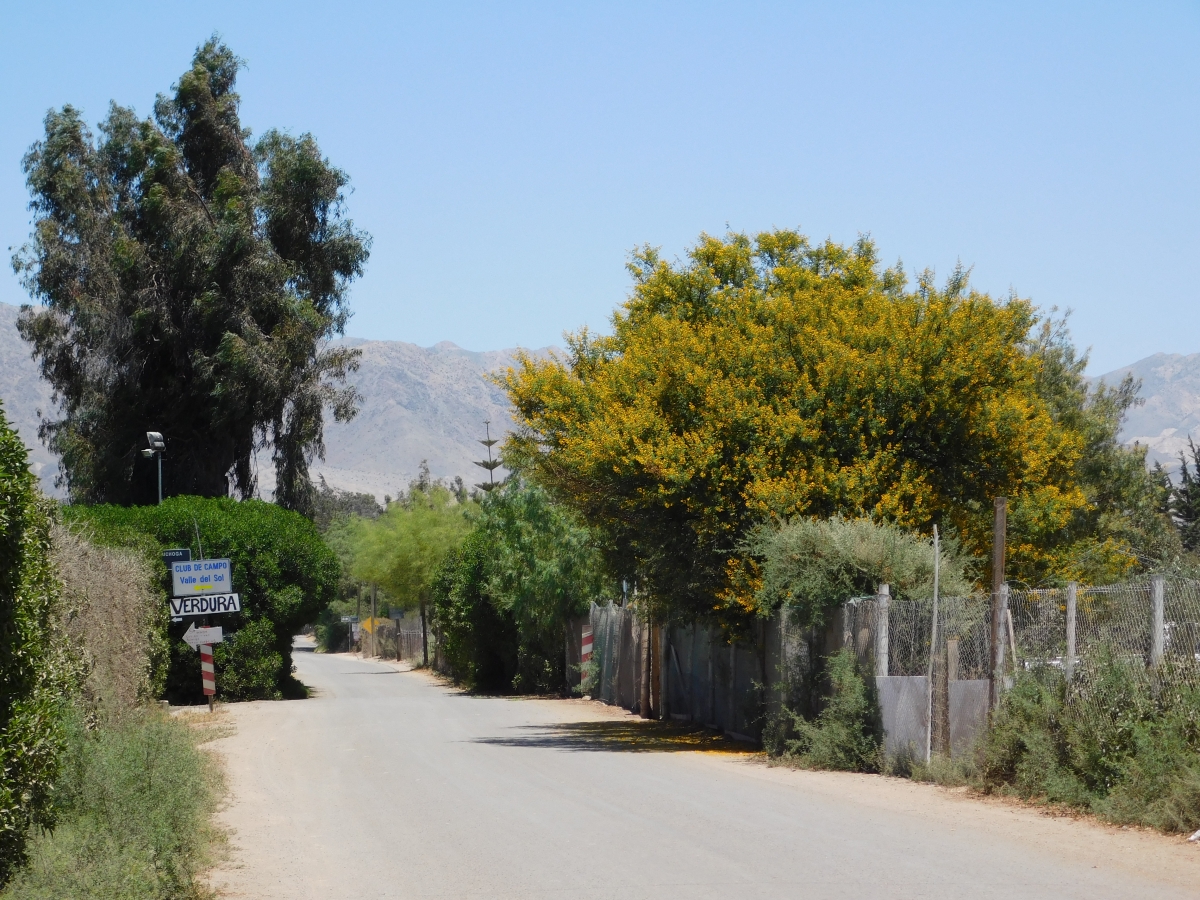 Entrada al pueblo dos hermanas