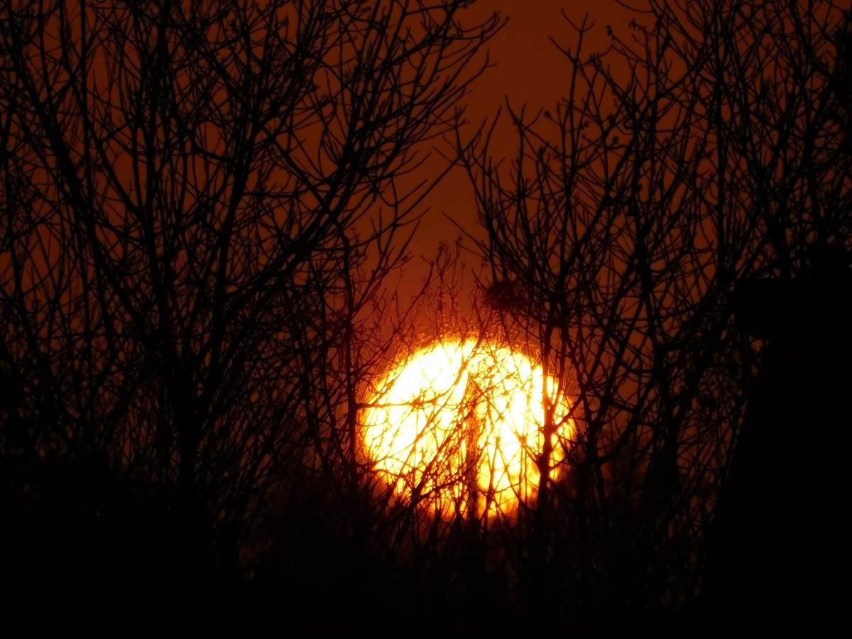 Atardecer en la parcela 