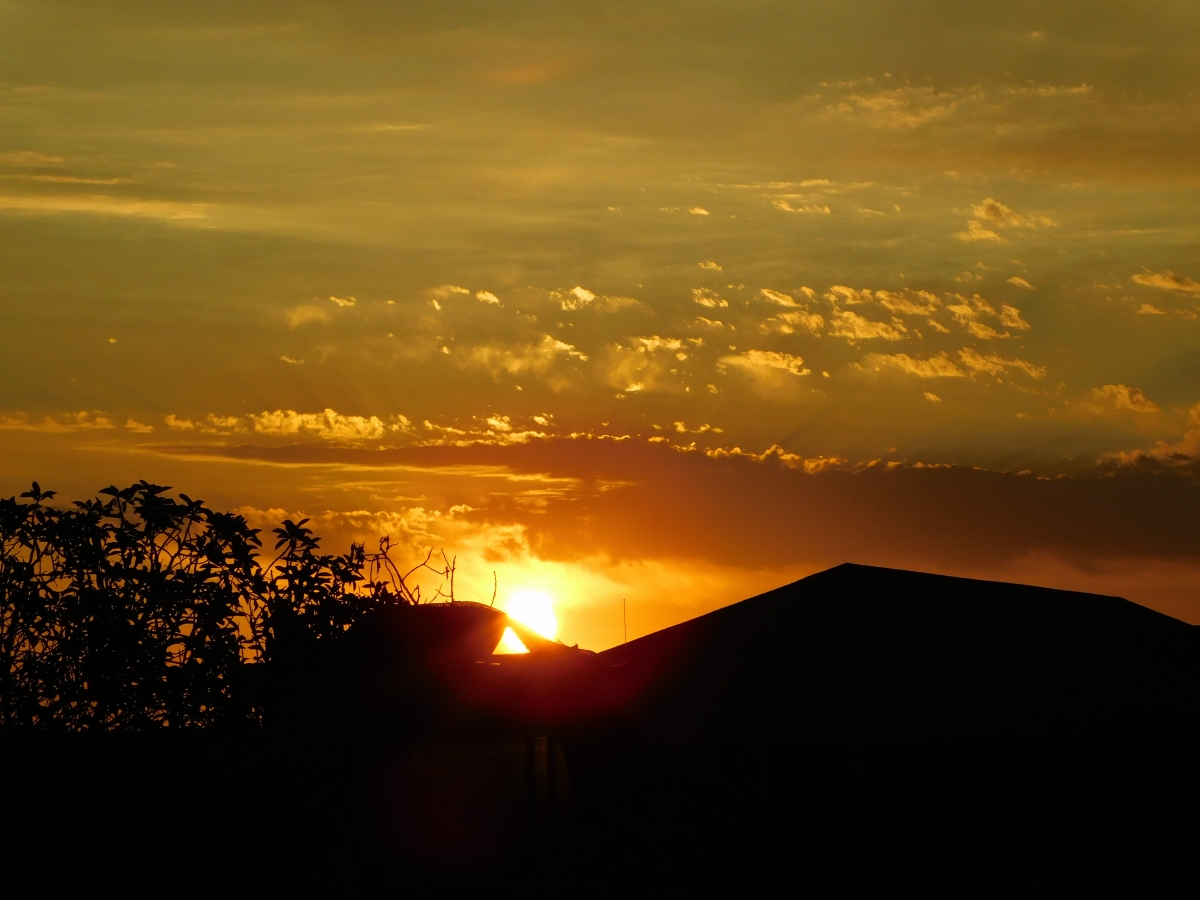 Atardecer en la parcela