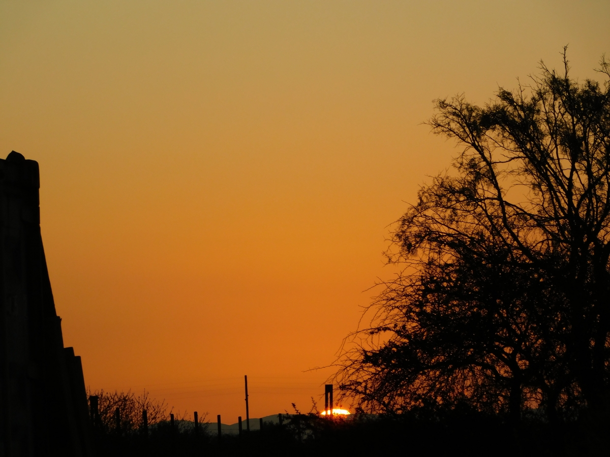 Atardecerrrrrrrrr en la parcela