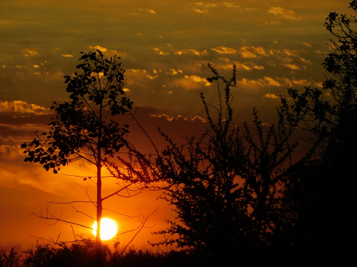 Atardecer