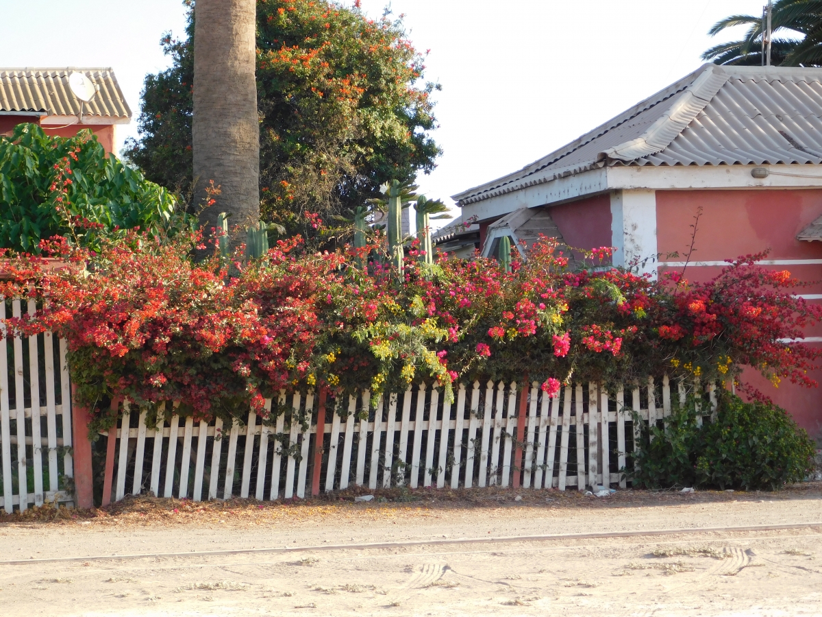 San Pedro y sus jardines