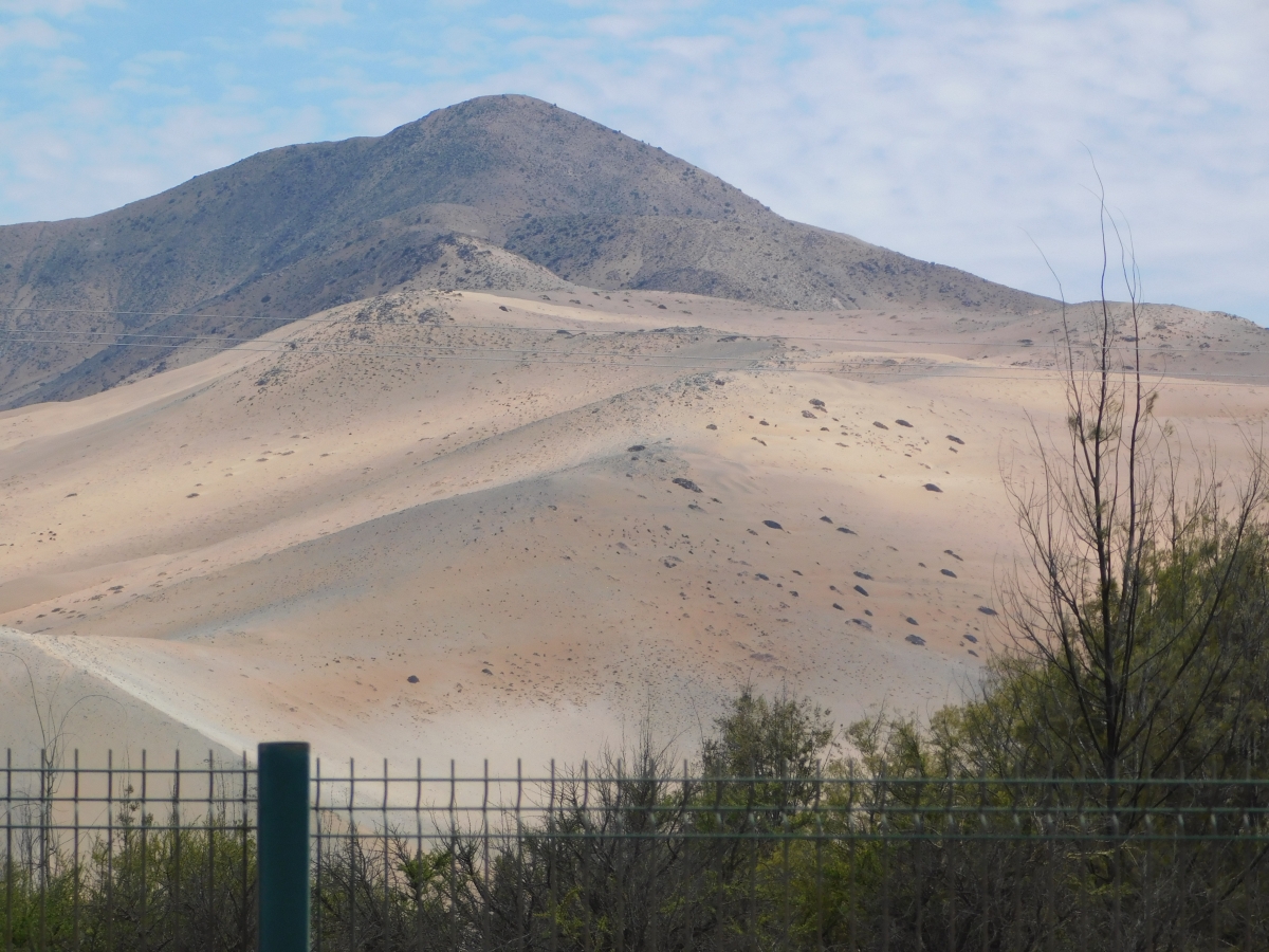 Escenas del lugar