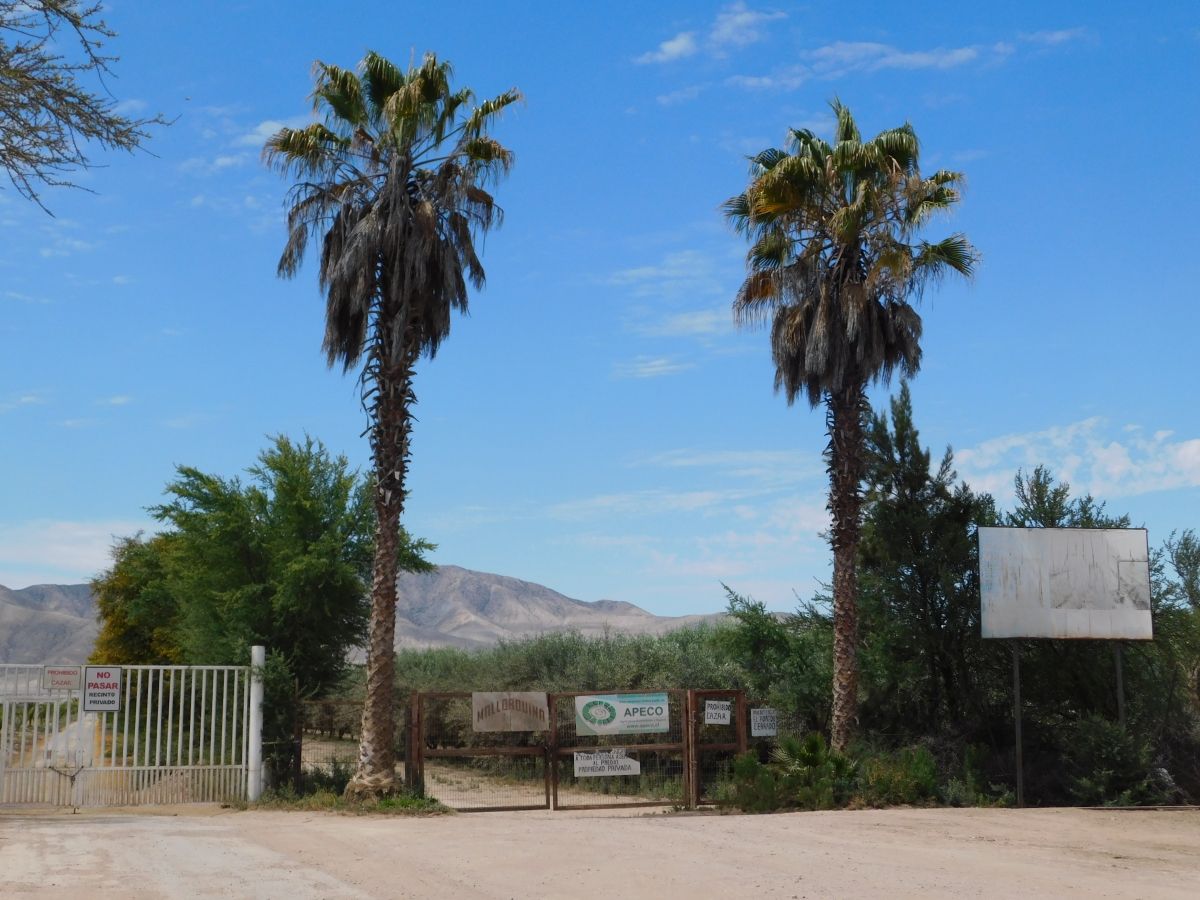 Entrada al campo recreacional