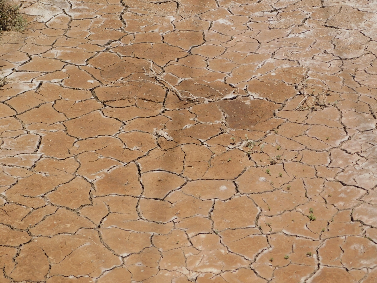 Donde no hay agua, el suelo es as