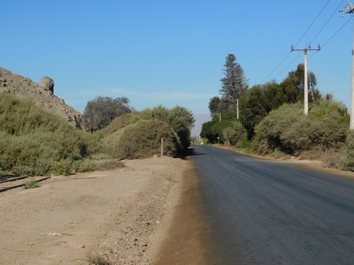 Caminos interiores