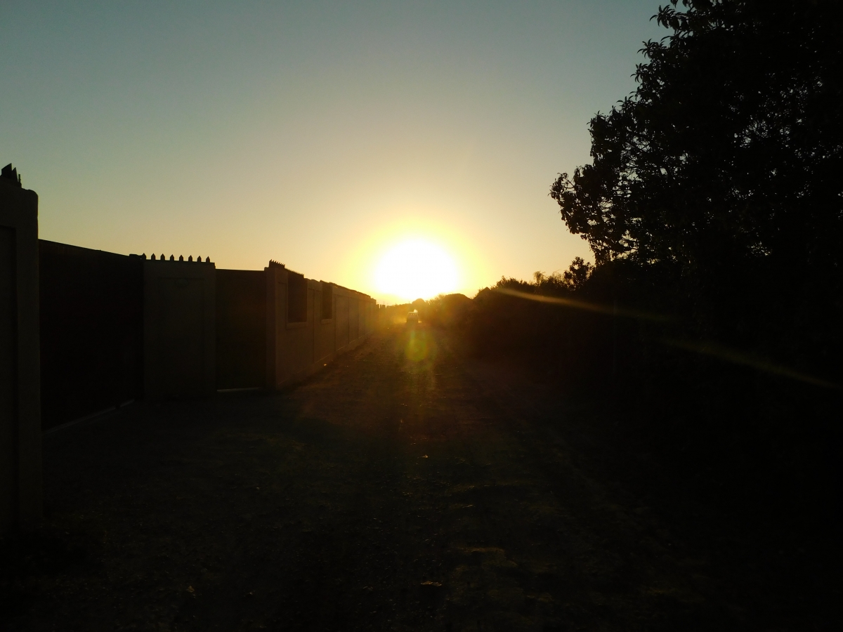 Atardecer en la parcela