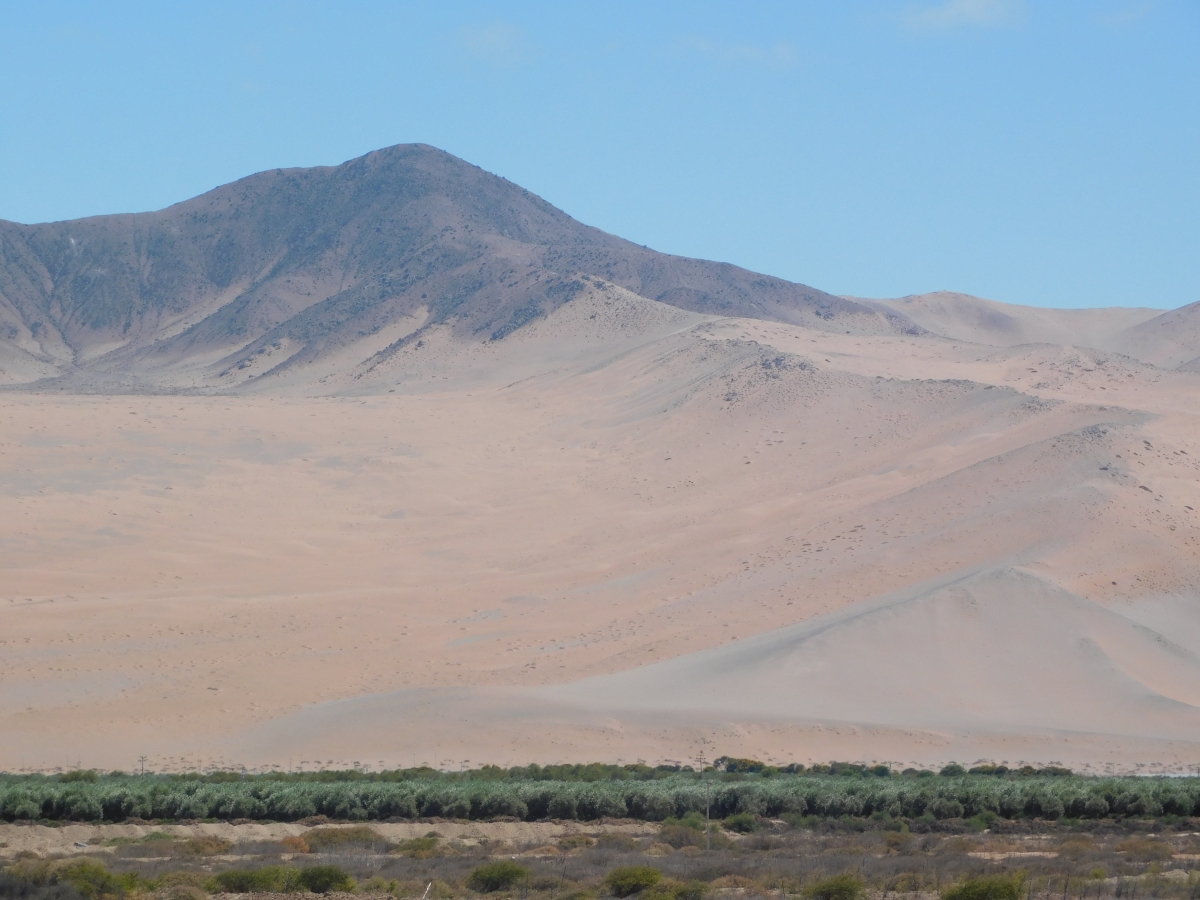 Conociendo el sector de dos hermanas