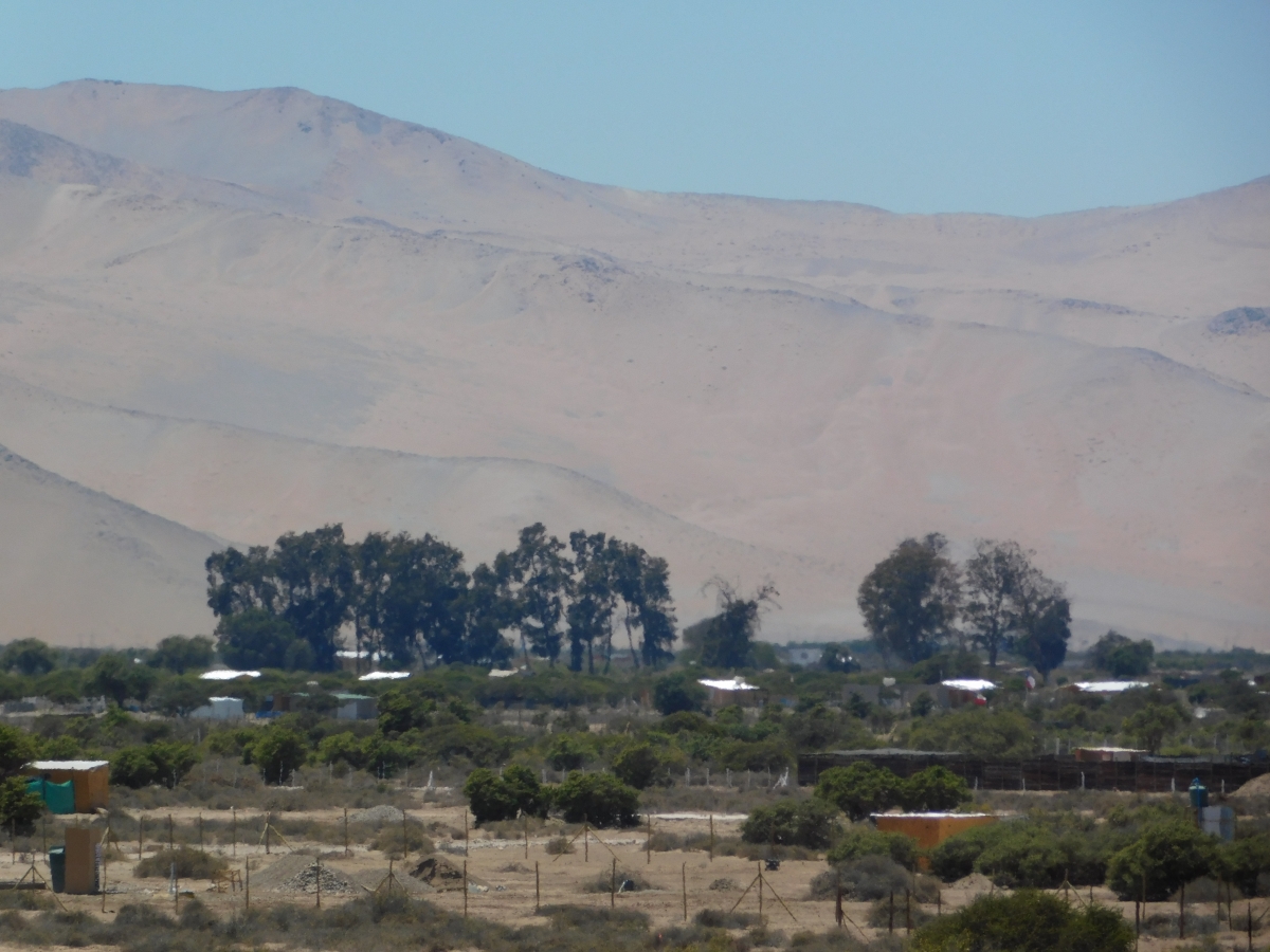 Conociendo el sector de dos hermanas 