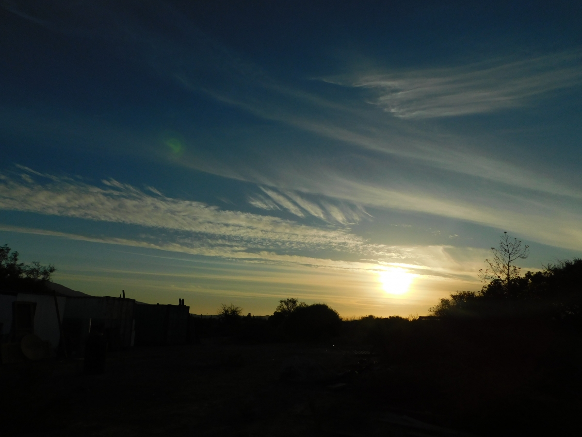 Atardecer en la parcela