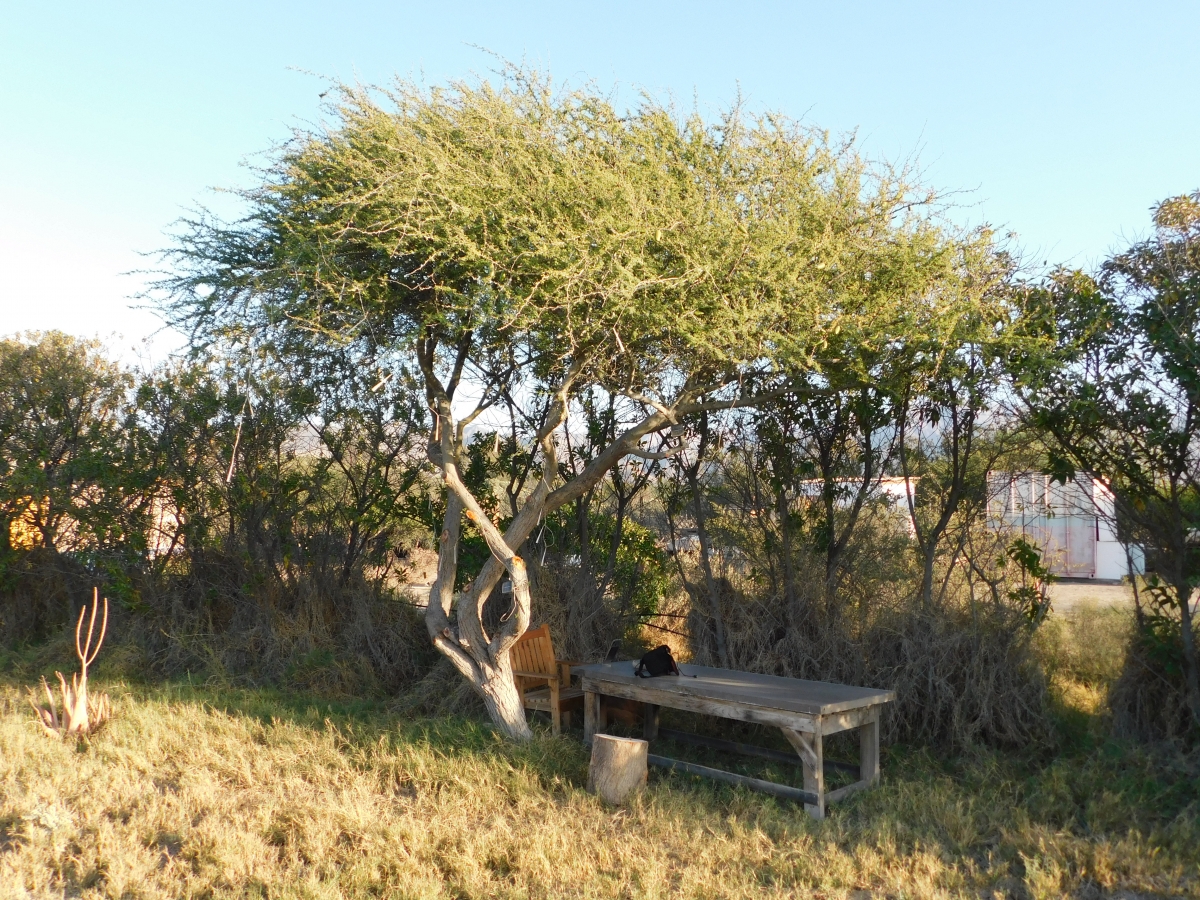 Creando lugares para descansar