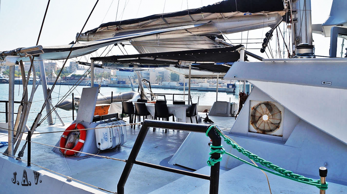 Catamarn. 8