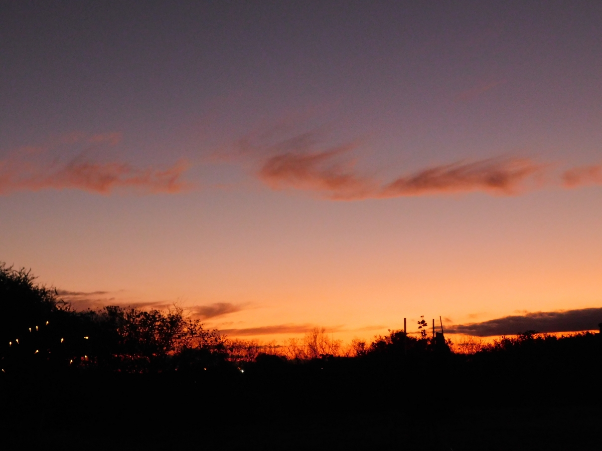 Atardecer en la parcela 3