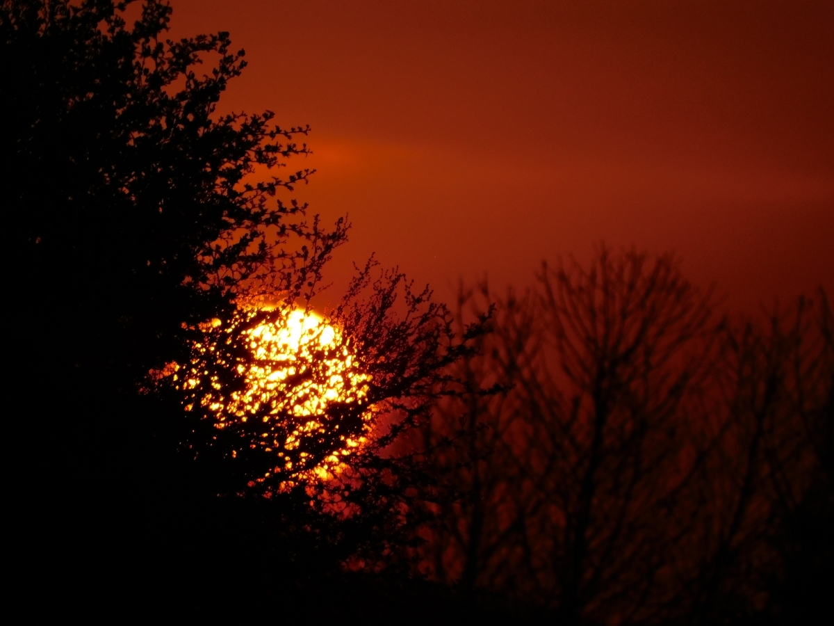 Puesta de sol en la parcela