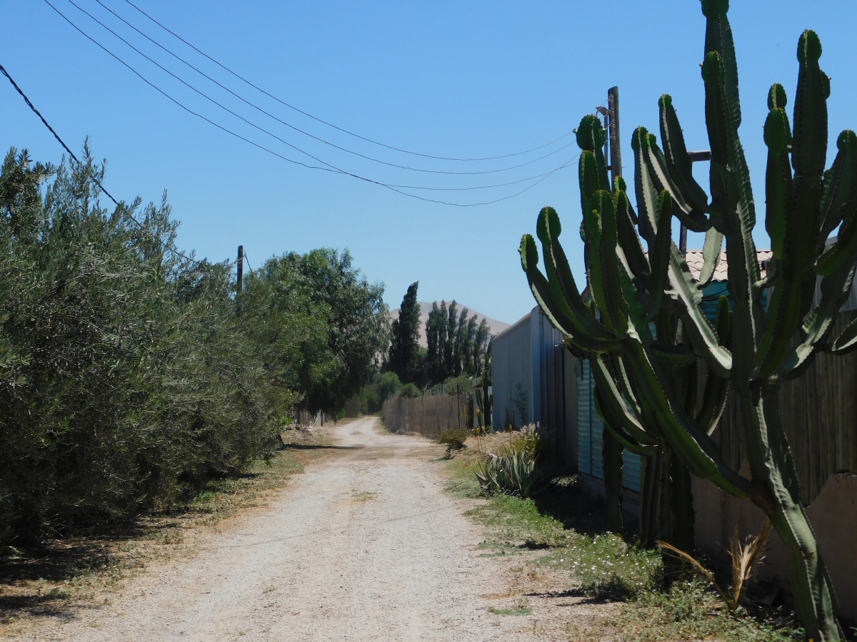 Sector de dos hermanas