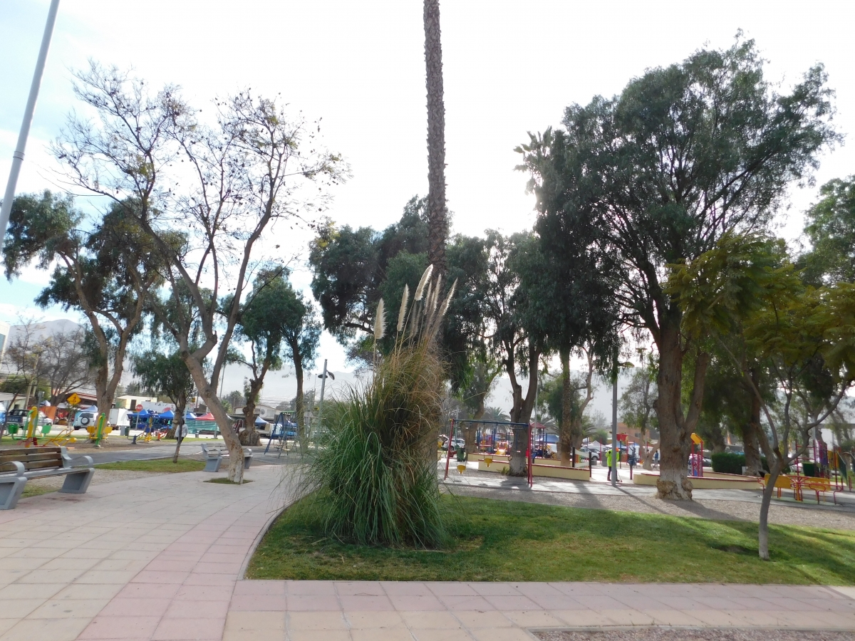 Una vista del parque Snaider de Copiap