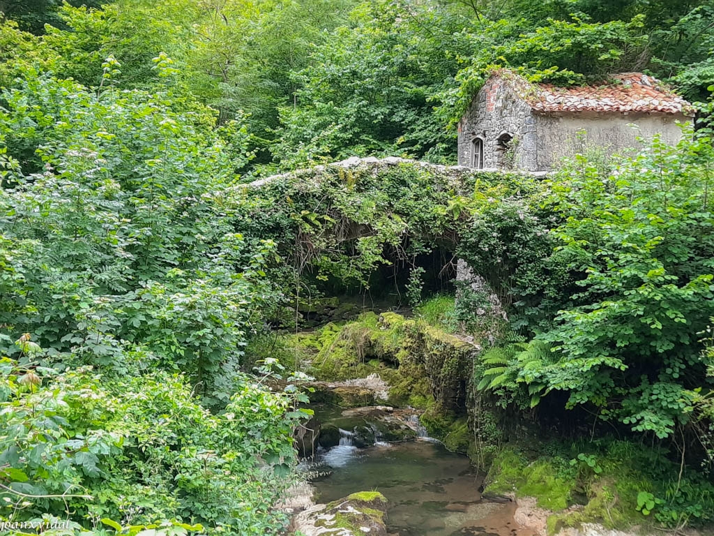 CAMINO DE SOTRES