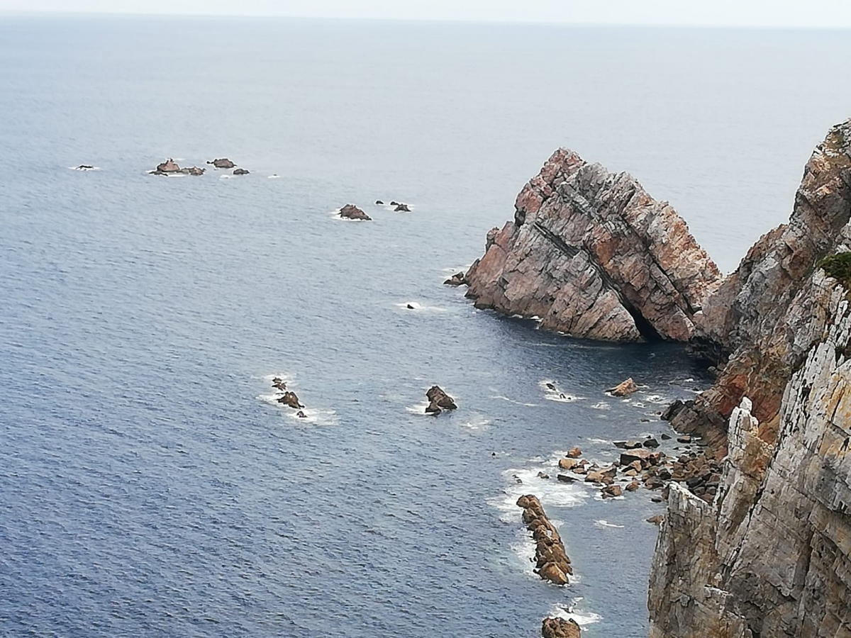 La costa siempre sorprende