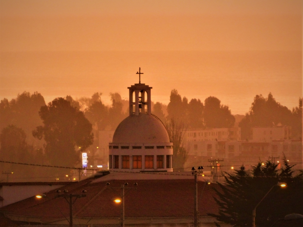 La niebla lo cubre todo 1