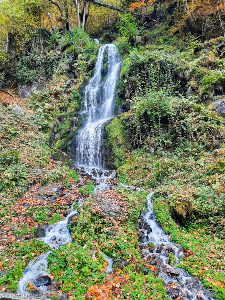 VAL DE TORAN