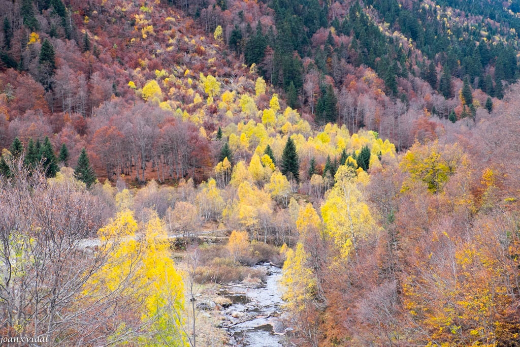 VALL DE VARRADS