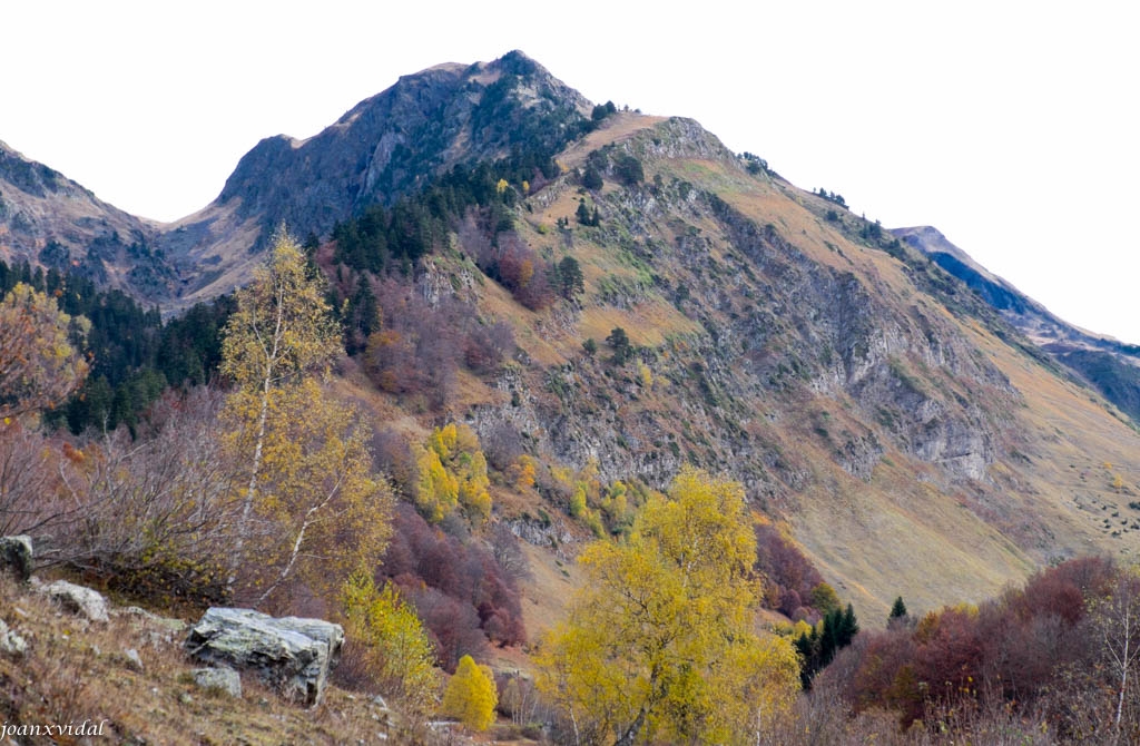 VALL DE VARRADS