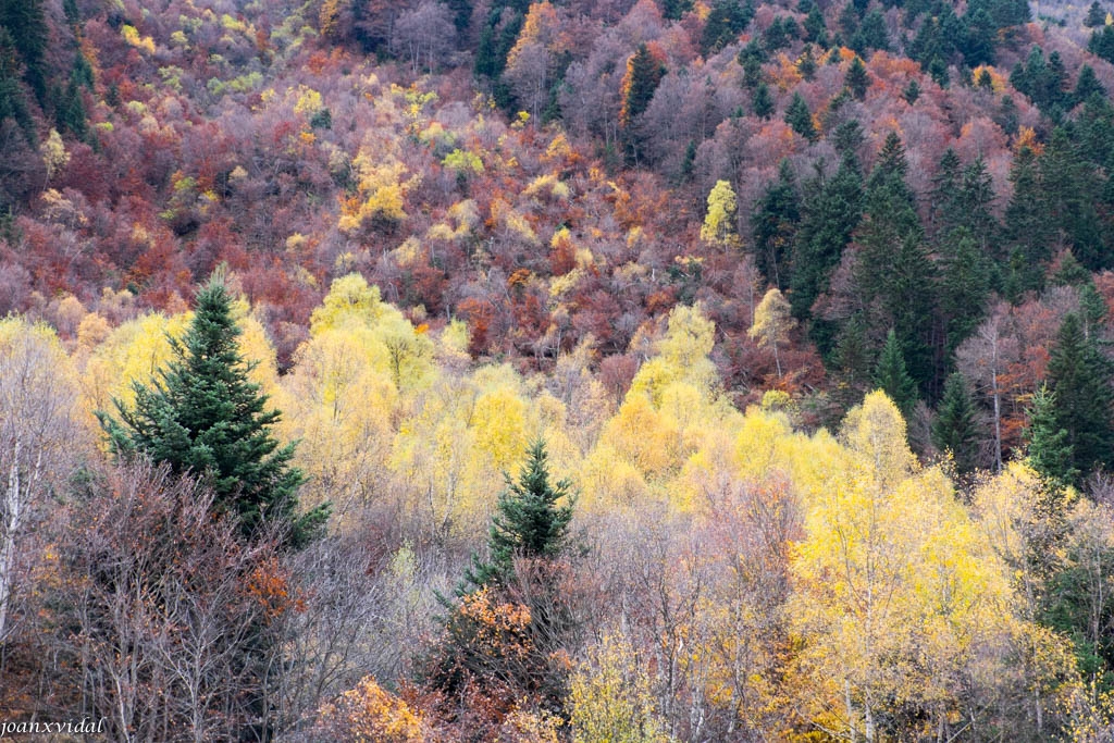 TARDOR A LA VALL DE VARRADS