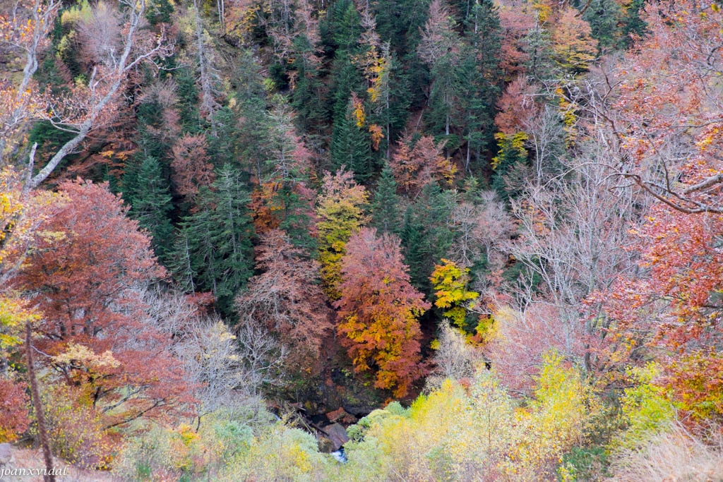 TARDOR A LA VALL DE VARRADS