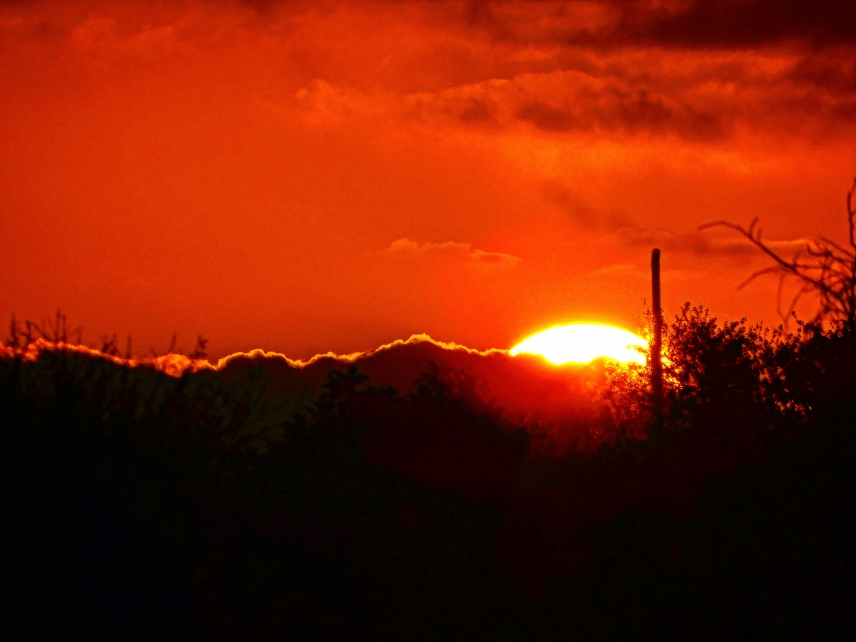 Atardecer en la parcela