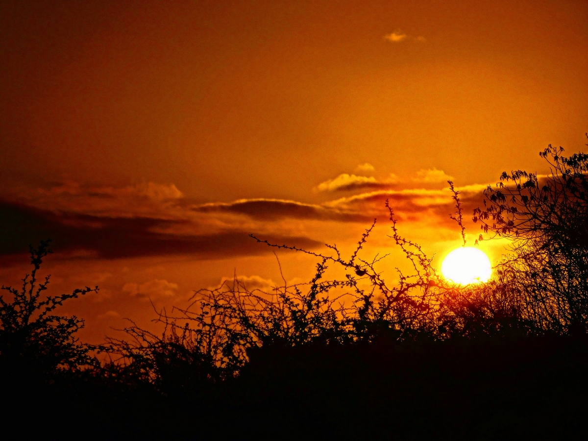 Atardecer en la parcela 1