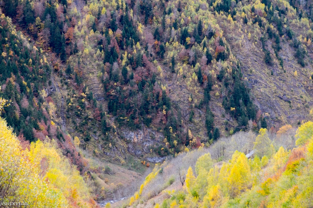 TARDOR A LA VALL DE VARRADS