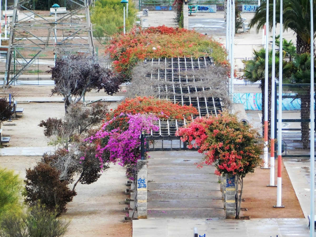 Hermosa pergola