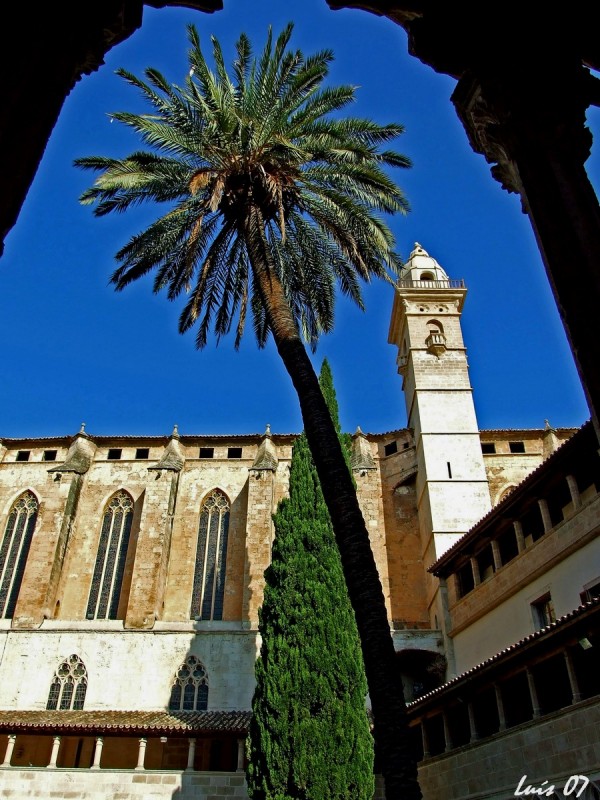 Patio del claustro