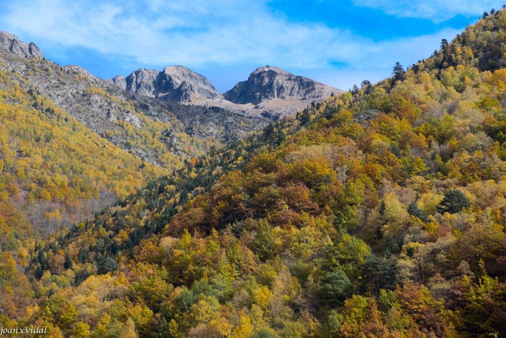 PARC NATURAL DE L\'ALT PIRINEU