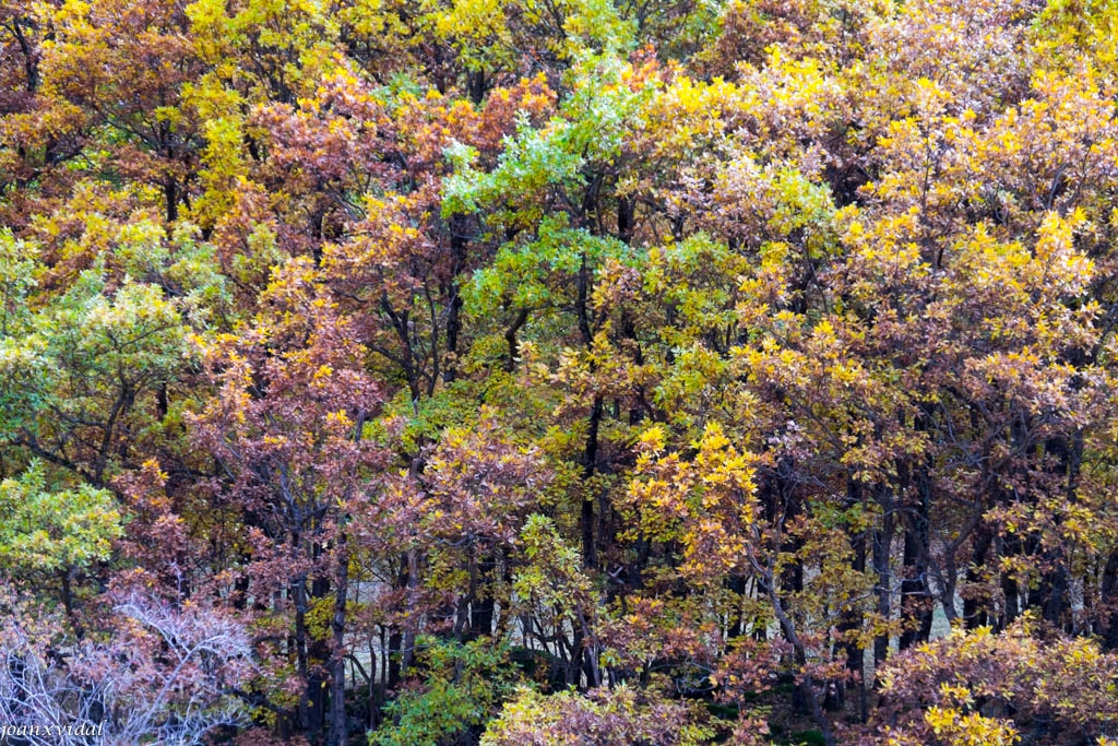 PARC NATURAL DE L\'ALT PIRINEU