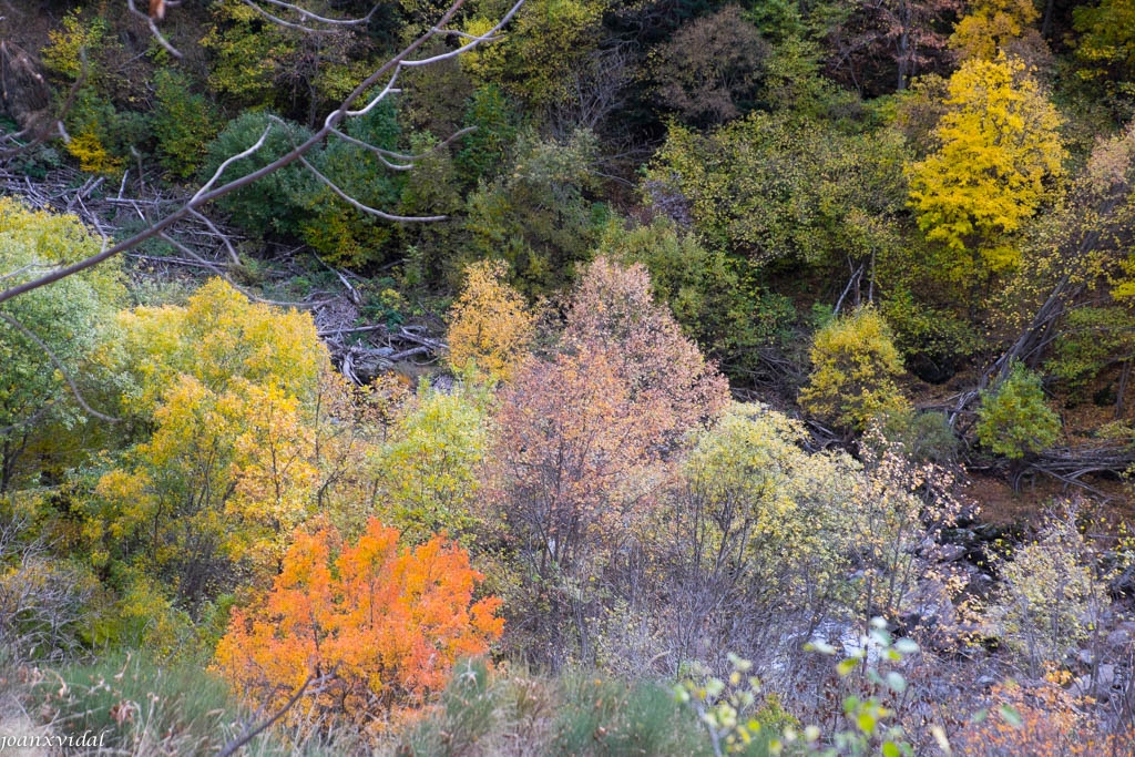 PARC NATURAL DE L\'ALT PIRINEU