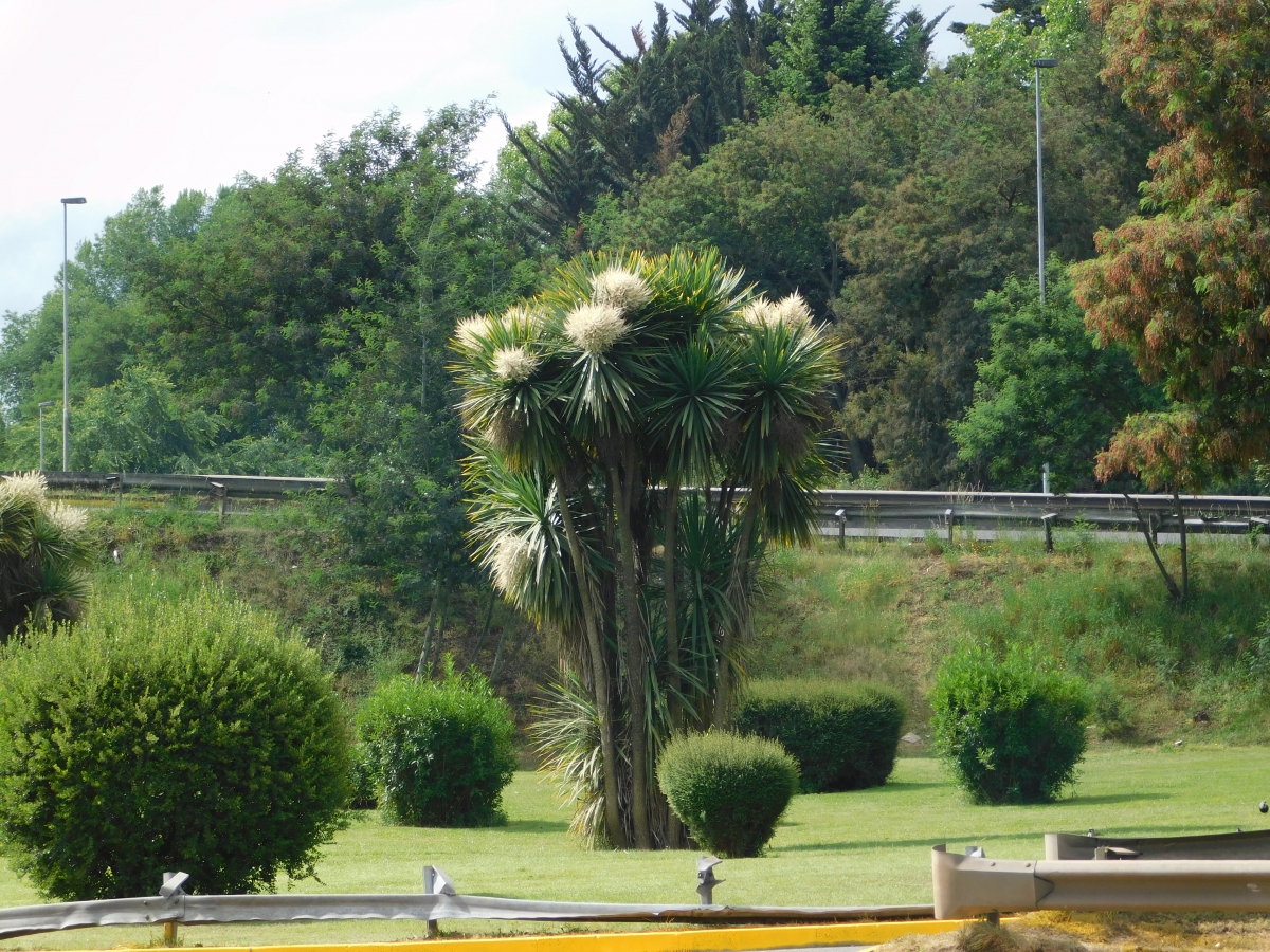 Vistas en el camino