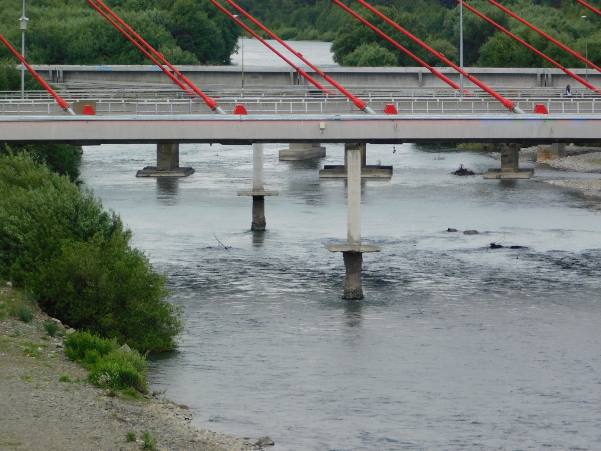 Vista del puente colgante