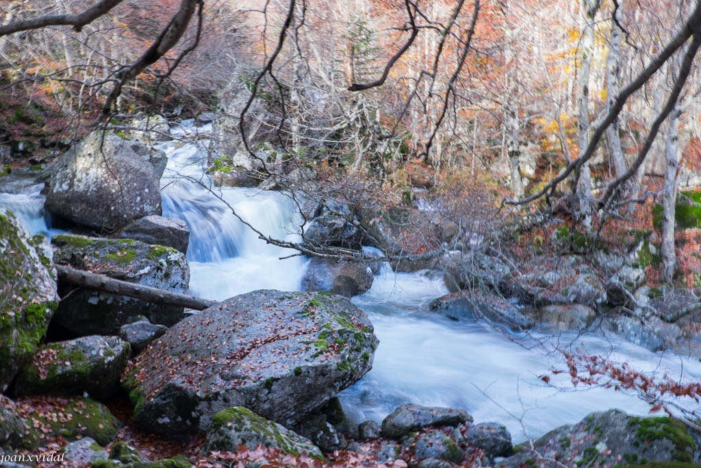 TARDOR A LA VALL DE SALENQUES