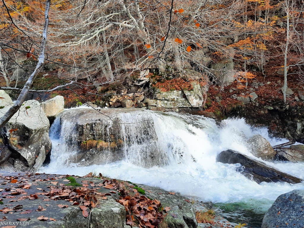 TARDOR A LA VALL DE SALENQUES