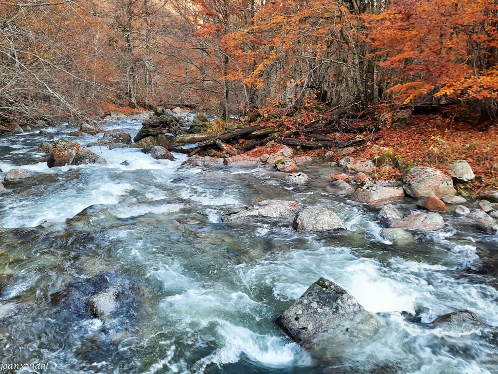 TARDOR A LA VALL DE SALENQUES